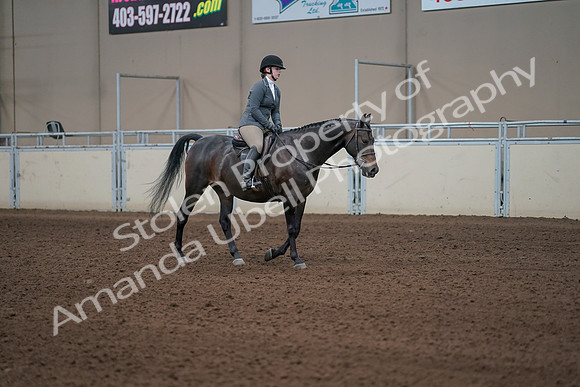 2019 Morgan Horse Show - Sept 01, 2019 - 11076