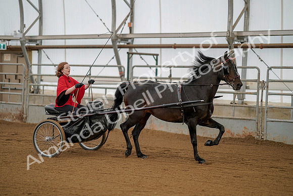 July 20, 2019 - 00231