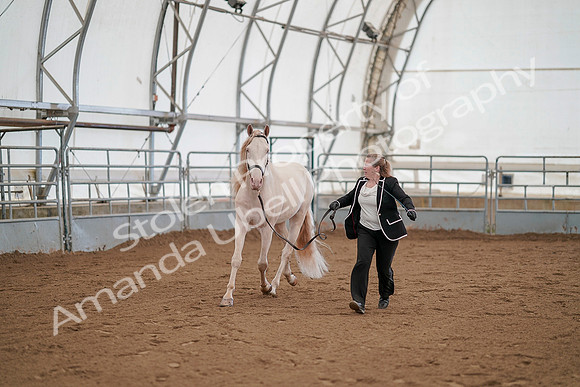 July 19, 2019 - 1125