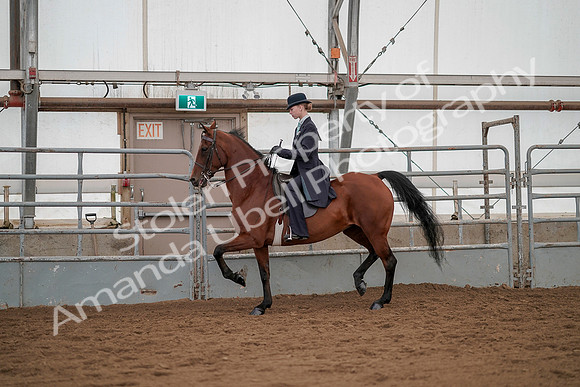 July 20, 2019 - 04305