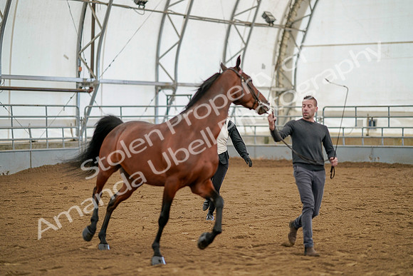 July 19, 2019 - 955