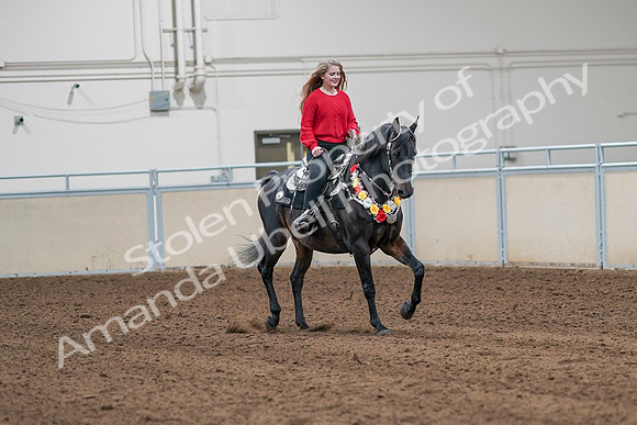 2020 - AB Morgan Horse - Sat, Sept 05 - 10491