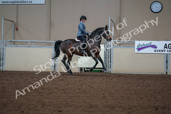 2019 Morgan Horse Show - Aug 30, 2019 - 18602