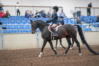 2019 Morgan Horse Show - Aug 31, 2019 - 19395