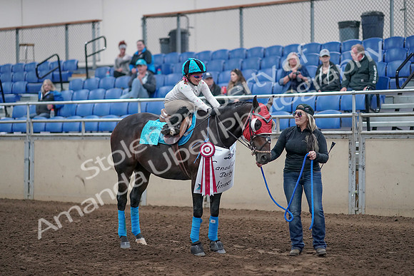 2019 Morgan Horse Show - Aug 31, 2019 - 10237