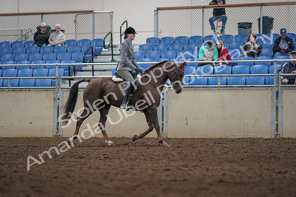 2019 Morgan Horse Show - Aug 31, 2019 - 07425