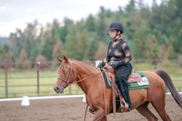 2019 Morgan Horse Show - Aug 30, 2019 - 00211