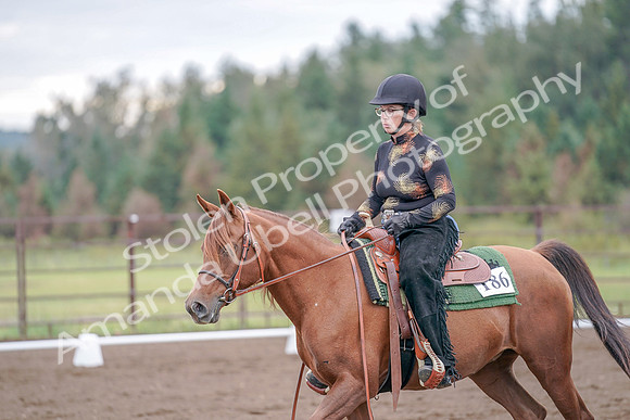 2019 Morgan Horse Show - Aug 30, 2019 - 00211