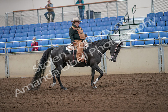 2019 Morgan Horse Show - Aug 31, 2019 - 06201