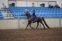 2019 Morgan Horse Show - Sept 01, 2019 - 12744