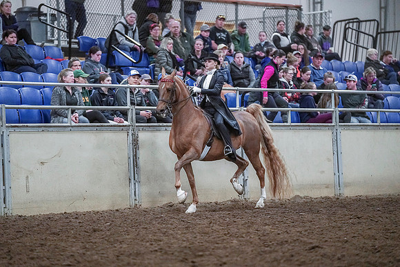 Spring Fling - Saturday - April 20, 2019  -  04320