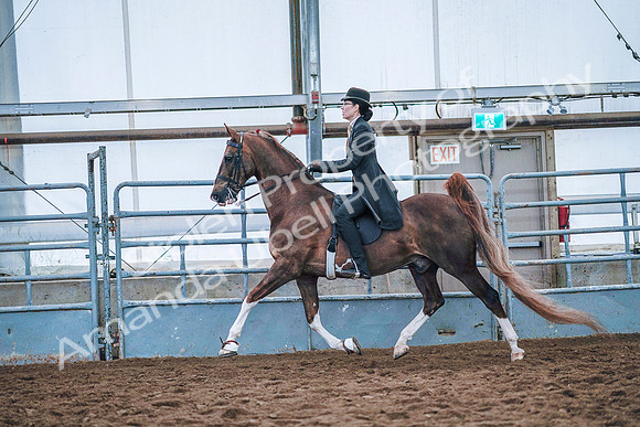 July 20, 2019 - 23852