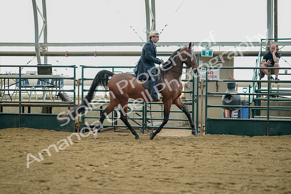 July 21, 2019 - 01727