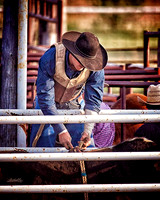rodeo - 044