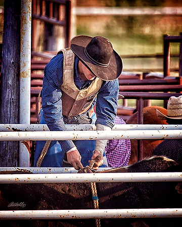 rodeo - 044