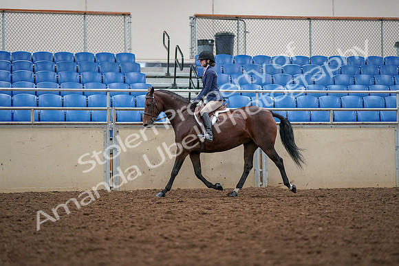 2019 Morgan Horse Show - Aug 30, 2019 - 23382
