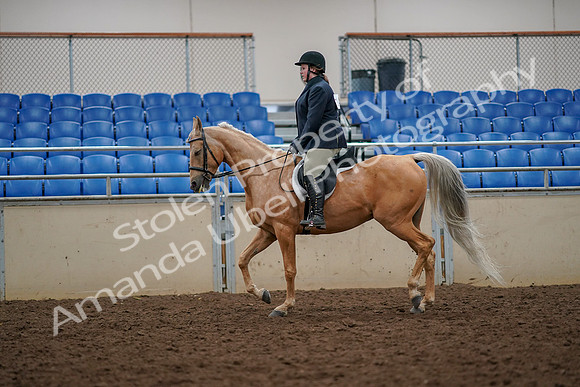 2019 Morgan Horse Show - Aug 30, 2019 - 22290