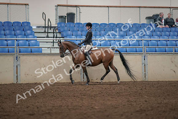 2019 Morgan Horse Show - Aug 31, 2019 - 04870