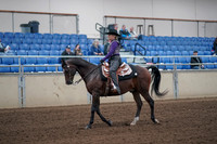 2019 Morgan Horse Show - Aug 31, 2019 - 10535