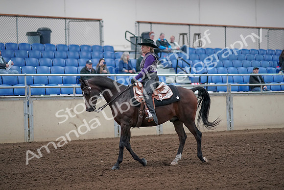 2019 Morgan Horse Show - Aug 31, 2019 - 10535