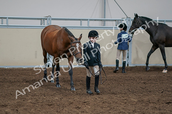 2020 - AB Morgan Horse - Fri, Sept 04 - 00825