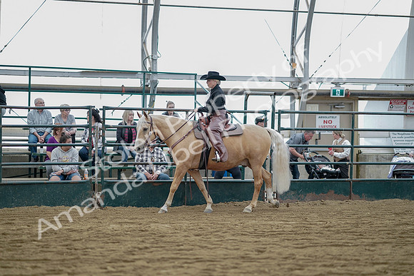 July 21, 2019 - 06523