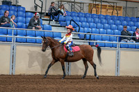 2020 - AB Morgan Horse - Sat, Sept 05 - 05776