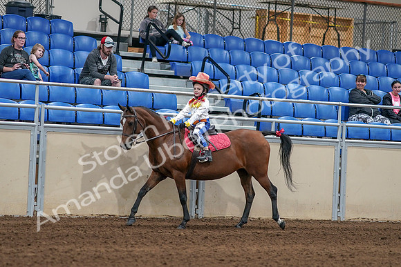 2020 - AB Morgan Horse - Sat, Sept 05 - 05776