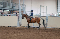 2020 - AB Morgan Horse - Sat, Sept 05 - 01735