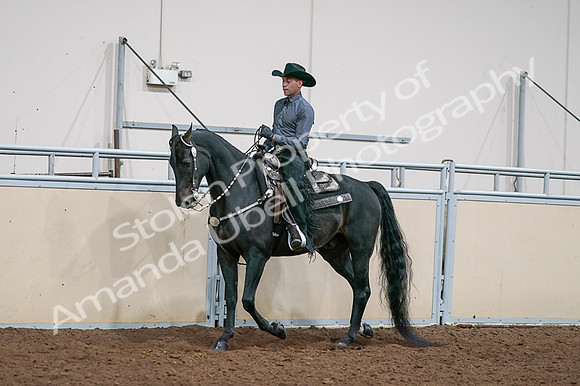 2020 - AB Morgan Horse - Fri, Sept 04 - 08528