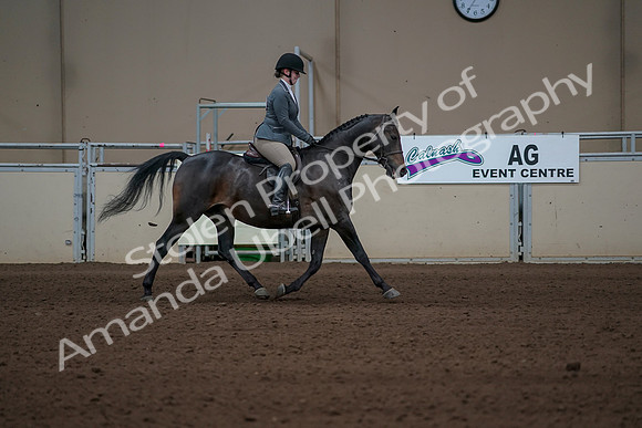 2019 Morgan Horse Show - Sept 01, 2019 - 11053