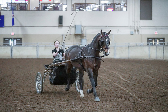 Spring Fling - Saturday - April 20, 2019  -  00336