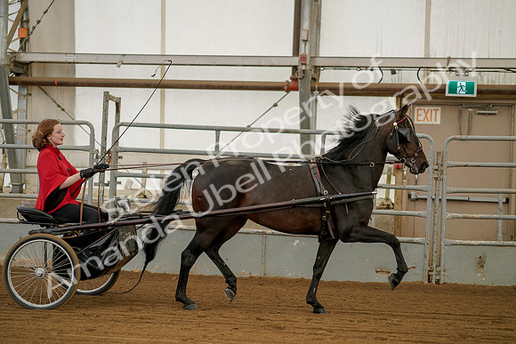 July 20, 2019 - 00218