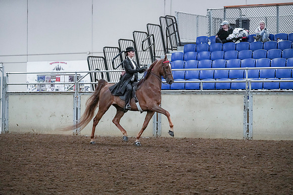 Spring Fling - Saturday - April 20, 2019  -  00554