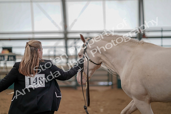 July 19, 2019 - 377