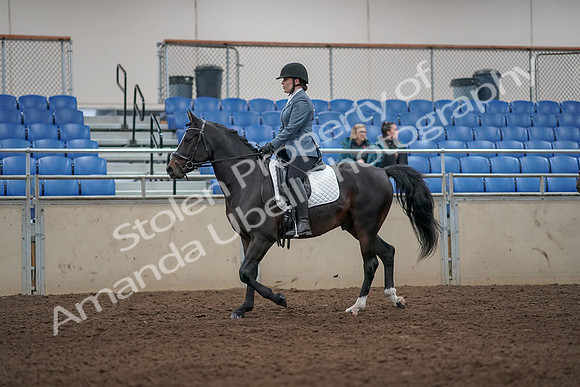 2019 Morgan Horse Show - Aug 31, 2019 - 07247