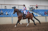 2019 Morgan Horse Show - Sept 01, 2019 - 07394