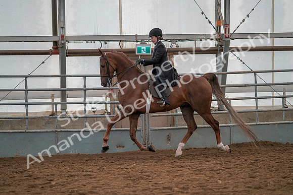 July 19, 2019 - 12961