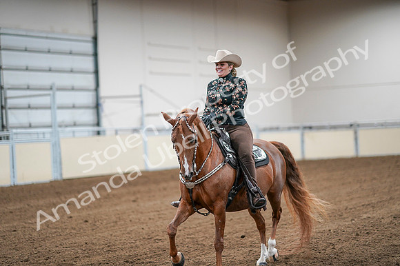 2020 - AB Morgan Horse - Fri, Sept 04 - 08508
