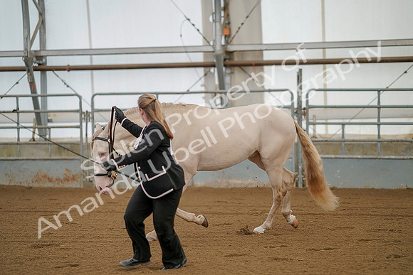 July 19, 2019 - 359