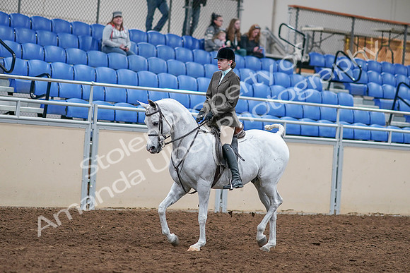 2020 - AB Morgan Horse - Sat, Sept 05 - 14237