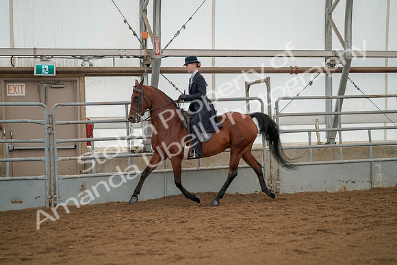 July 20, 2019 - 04417