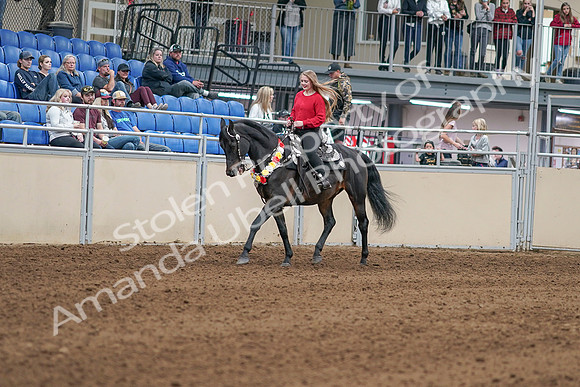 2020 - AB Morgan Horse - Sat, Sept 05 - 10418