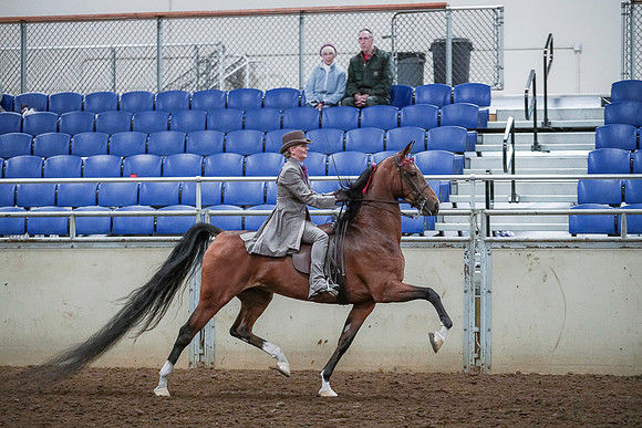 Spring Fling - Saturday - April 20, 2019  -  00571