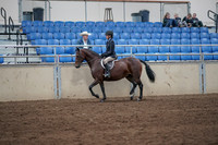 2019 Morgan Horse Show - Sept 01, 2019 - 12757