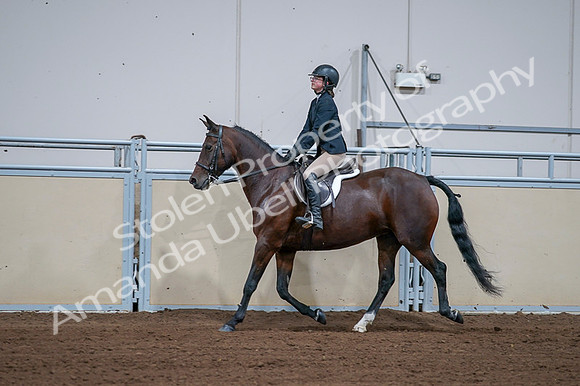 2020 - AB Morgan Horse - Fri, Sept 04 - 01671