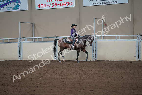 2019 Morgan Horse Show - Aug 31, 2019 - 10732