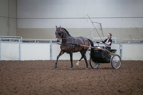 Spring Fling - Saturday - April 20, 2019  -  00196