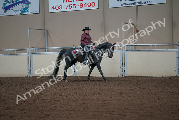 2019 Morgan Horse Show - Aug 31, 2019 - 10713