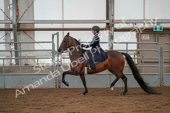 July 20, 2019 - 03773
